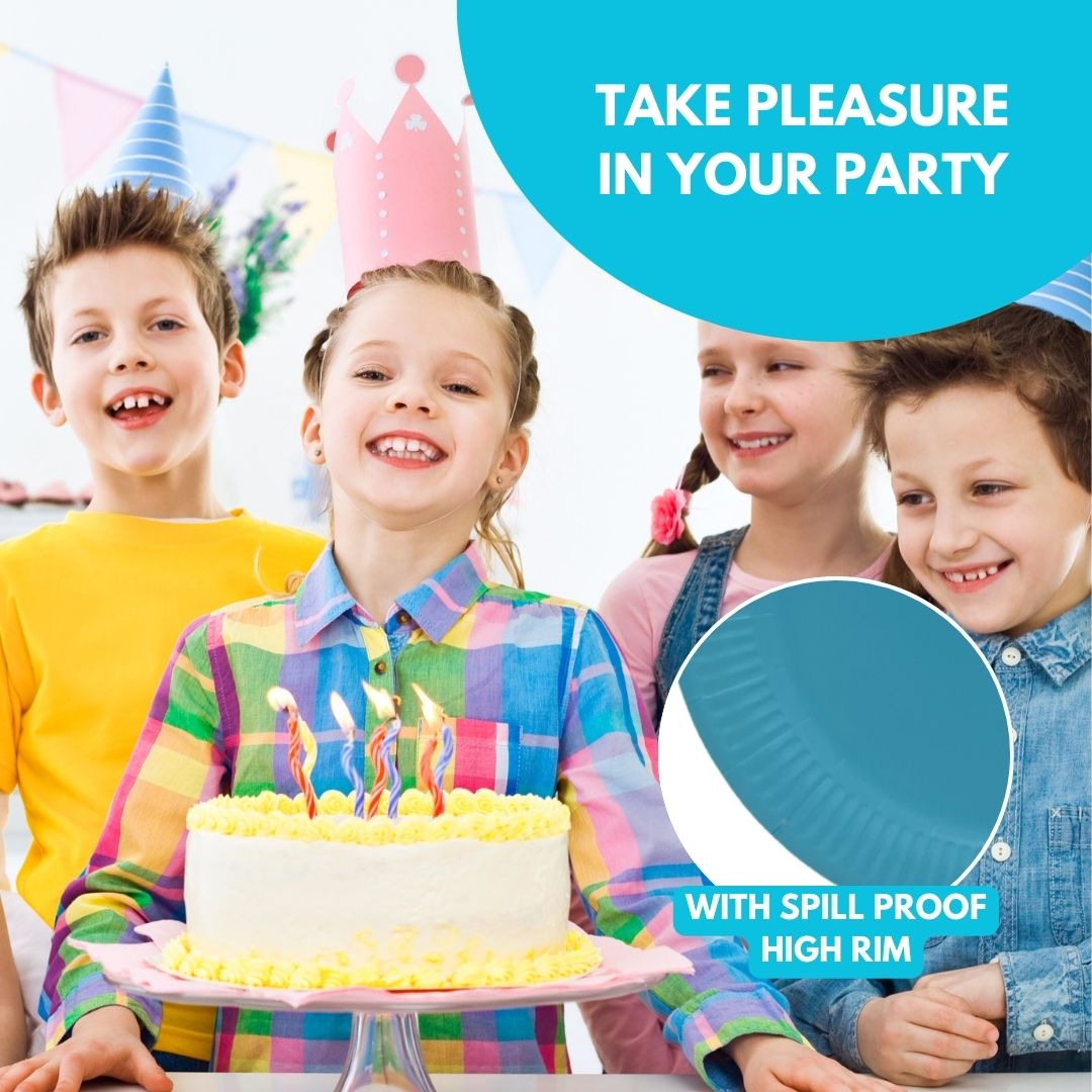 Disposable Eco-Friendly Party Event Black Blue Pink Red Gold Silver White 9" Paper Plates for Craft Scrapbooking Assorted Colors 20 Pack