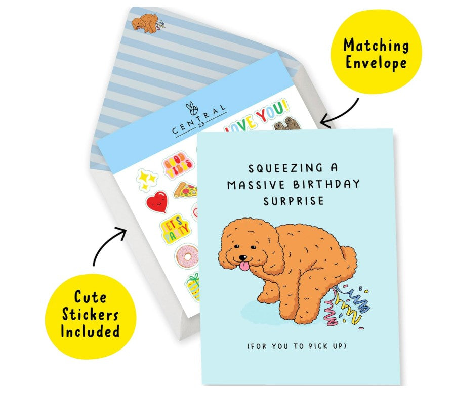3D Pop Up Light Up in Sync to Music Funny Poop Cat Record Dill Creative Sayings Happy Birthday Father's Day Graduation Cards