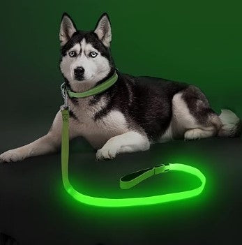 LED Light Up USB Rechargeable Waterproof Colorful Blue Red Orange Pink Green Yellow Luminous Traction Dog Leash for Safety