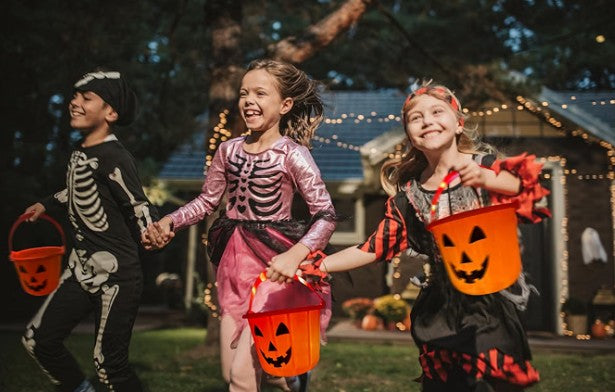 Halloween LED Pumpkin Orange Green Purple Reuseable LED Lamp Light Up Bucket Home Party Decoration for Safety for Trick or Treating
