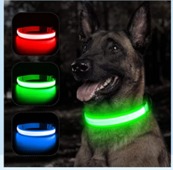 Safety LED Colorful White Orange Red Green Blue Pink Waterproof Anti Pull Pet Dog Cat Collar for Night Walks