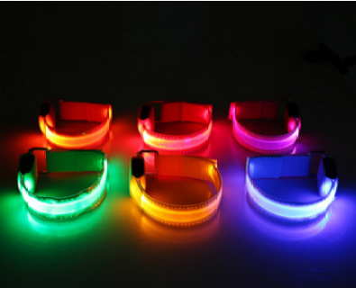 LED USB Charging Waterproof Colorful Blue Red Orange Pink Green Yellow Luminous Traction Dog Leash
