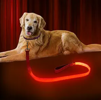 LED Light Up USB Rechargeable Waterproof Colorful Blue Red Orange Pink Green Yellow Luminous Traction Dog Leash for Safety