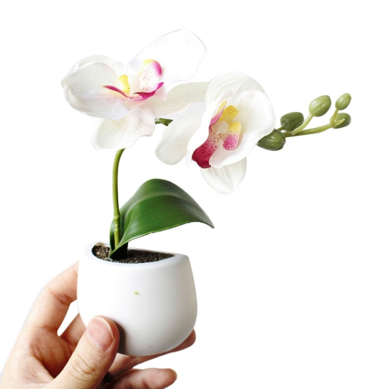 Fridge Magnets Potted Artificial Succulent Plants