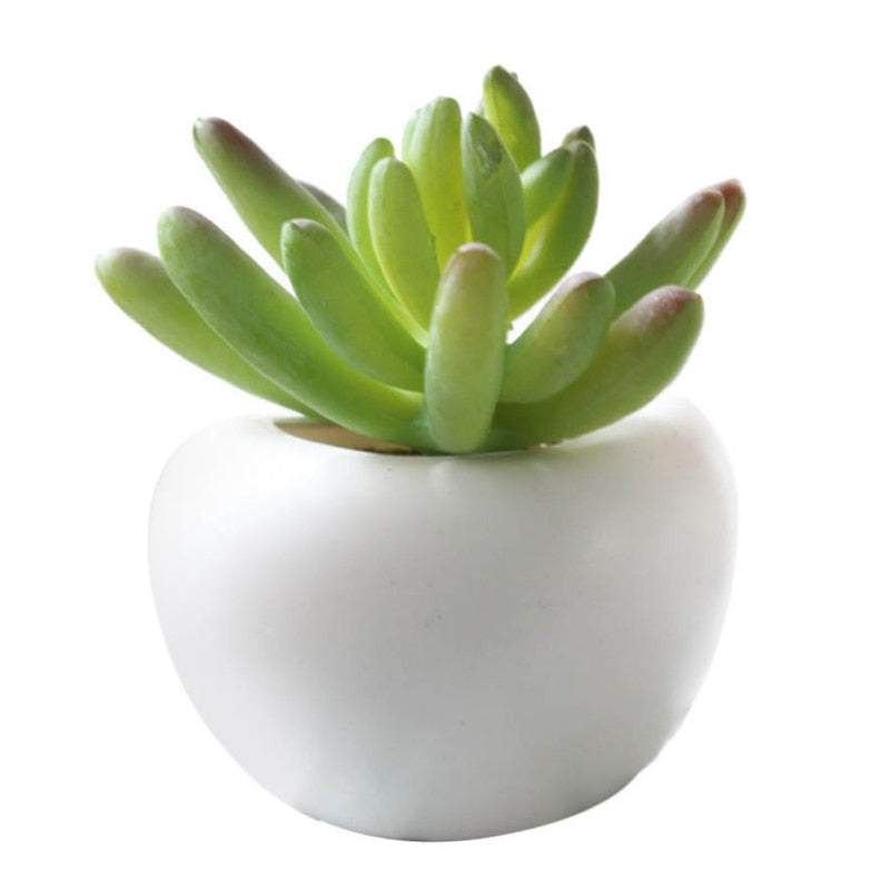 Fridge Magnets Potted Artificial Succulent Plants