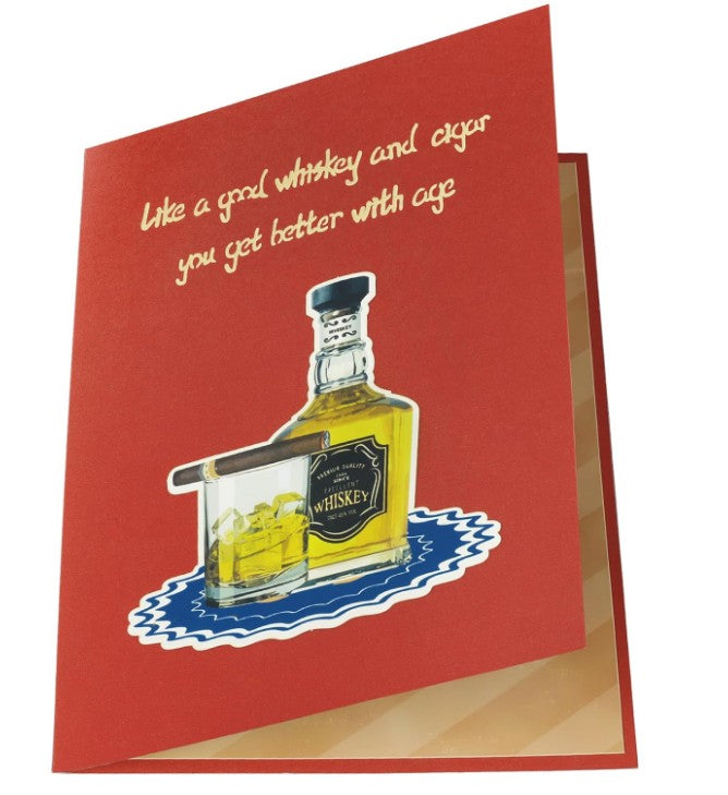 3D Pop Up Light Up in Sync to Music Funny Poop Cat Record Dill Creative Sayings Happy Birthday Father's Day Graduation Cards