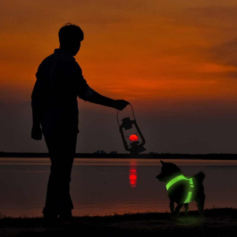 Rechargeable LED USB Charging Mesh Lighted Dog Harness