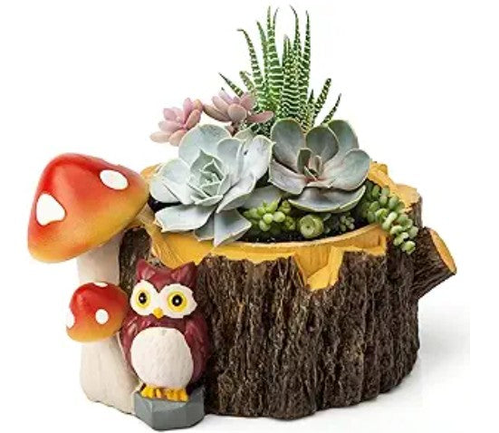 Succulent Plant Pots, Turtle Camara Typewriter Mushroom Planter Flowerpots with Drainage Hole, Cute Planting Pots for Cactus, Succulent Planters for Indoor Plants Home Office Garden Flower Pot Gifts for Plants Lover