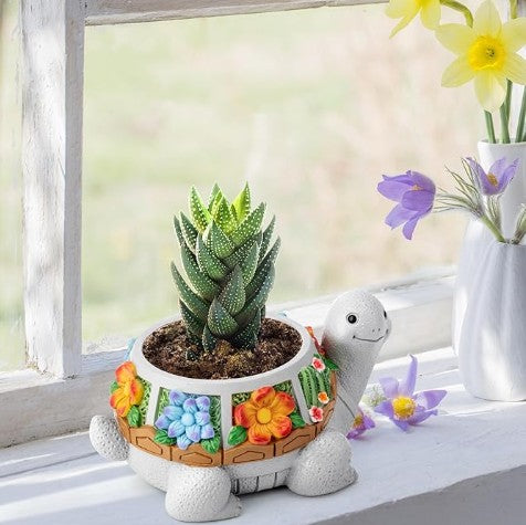 Succulent Plant Pots, Turtle Camara Typewriter Mushroom Planter Flowerpots with Drainage Hole, Cute Planting Pots for Cactus, Succulent Planters for Indoor Plants Home Office Garden Flower Pot Gifts for Plants Lover