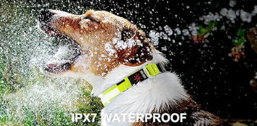 Safety LED Colorful White Orange Red Green Blue Pink Waterproof Anti Pull Pet Dog Cat Collar for Night Walks