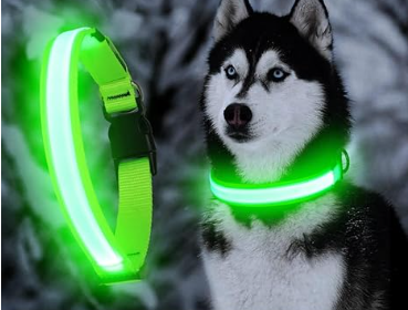 Safety LED Colorful White Orange Red Green Blue Pink Waterproof Anti Pull Pet Dog Cat Collar for Night Walks