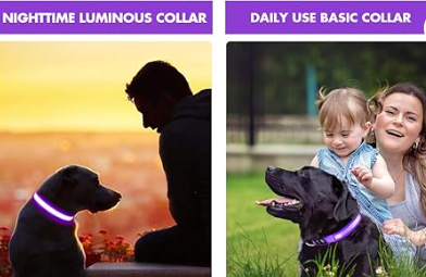 Safety LED Colorful White Orange Red Green Blue Pink Waterproof Anti Pull Pet Dog Cat Collar for Night Walks