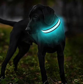 Safety LED Colorful White Orange Red Green Blue Pink Waterproof Anti Pull Pet Dog Cat Collar for Night Walks