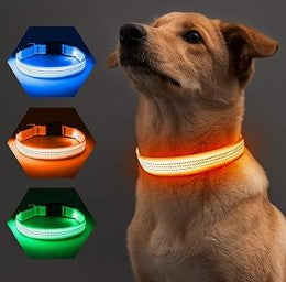 Safety LED Colorful White Orange Red Green Blue Pink Waterproof Anti Pull Pet Dog Cat Collar for Night Walks
