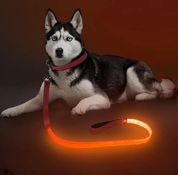 LED Light Up USB Rechargeable Waterproof Colorful Blue Red Orange Pink Green Yellow Luminous Traction Dog Leash for Safety