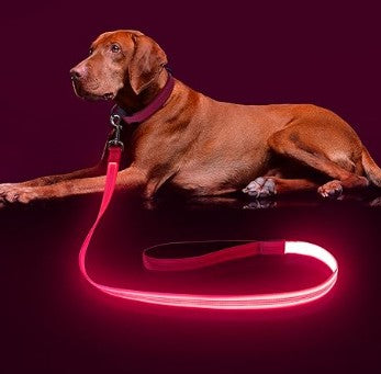 LED Light Up USB Rechargeable Waterproof Colorful Blue Red Orange Pink Green Yellow Luminous Traction Dog Leash for Safety