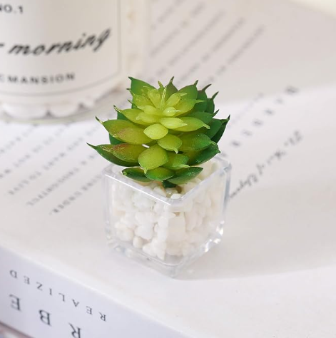 Fridge Strong 3D Refrigerator Magnets Potted Artificial Succulent Cactus Flower Rose Fern Plants Emoji Food Magnets for Kitchen Room Decoration