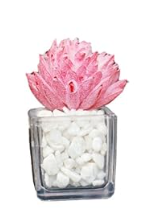 Fridge Strong 3D Refrigerator Magnets Potted Artificial Succulent Cactus Flower Rose Fern Plants Emoji Food Magnets for Kitchen Room Decoration