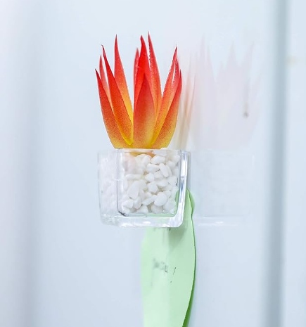 Fridge Strong 3D Refrigerator Magnets Potted Artificial Succulent Cactus Flower Rose Fern Plants Emoji Food Magnets for Kitchen Room Decoration