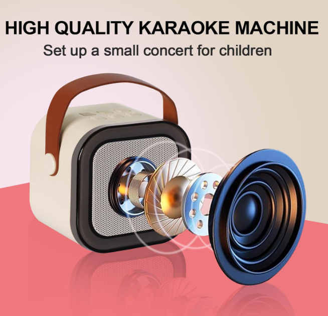 Mini Portable Bluetooth Karaoke Machine for Kids Adults with Two Microphones with Carry Case Options