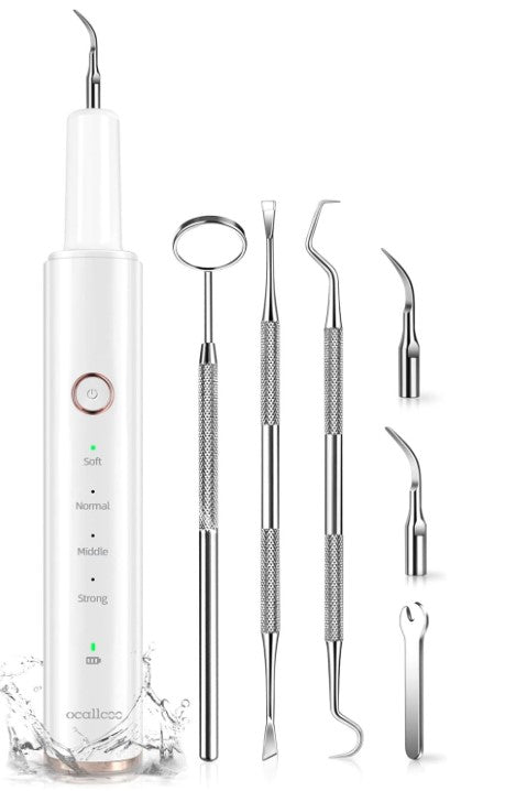 Plaque Remover for Teeth, Electric Tooth Cleaner Tartar Remover for Teeth with LED Light 4 Modes Rechargeable Teeth Cleaning Kit with Dental Tools
