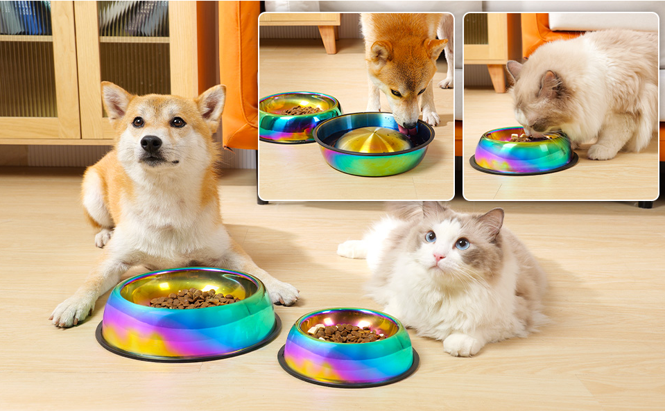 Rainbow Color Stainless Steel Cat Big Bowl Water & Feeder Bowls 2 in 1 Slow Feed Bowl for Small Medium Big Cats Dogs Pets with Non-Skid Rubber Base