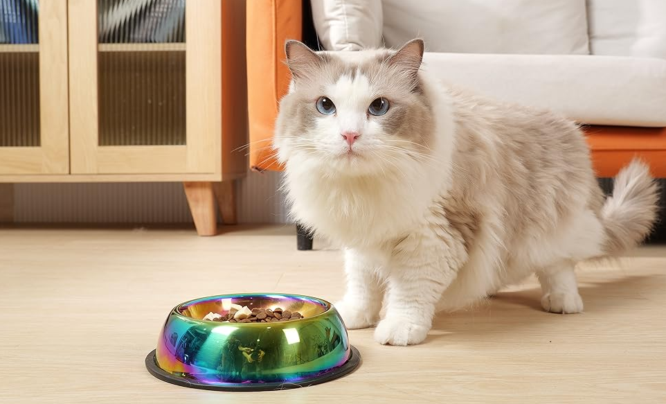 Stainless Steel Rainbow Color Dog Cat Slow Feeder Bowls