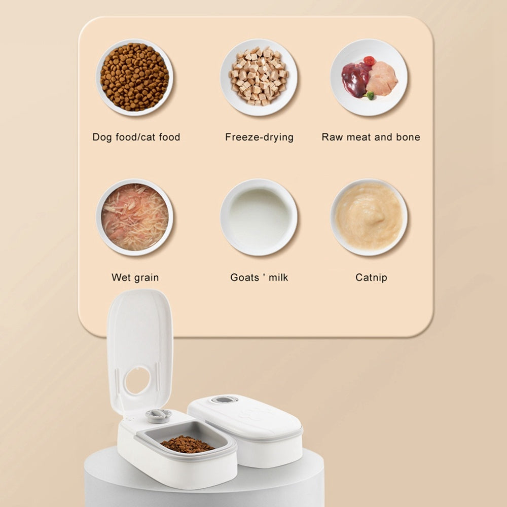 Automatic Timer Stainless Steel Smart Pet Feeder Food Dispenser for Cats Dogs Bowl Supplies