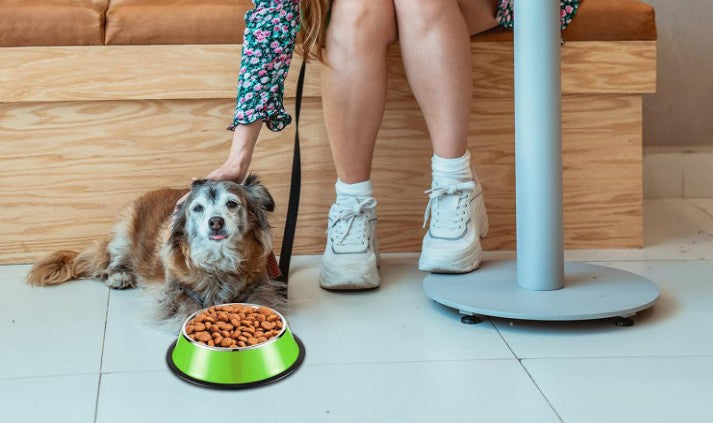 8 Pcs Stainless Steel Dog Bowl 7 oz Stackable Pet Food Water Bowl with Rubber Base Non-Slip Pet Dishes Metal Dog Bowls