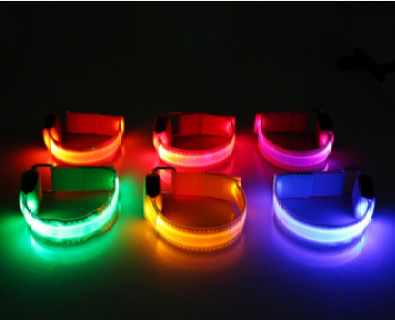 LED USB Charging Waterproof Colorful Blue Red Orange Pink Green Yello Luminous Traction Dog Leash