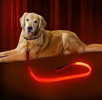 LED USB Charging Waterproof Colorful Blue Red Orange Pink Green Yello Luminous Traction Dog Leash