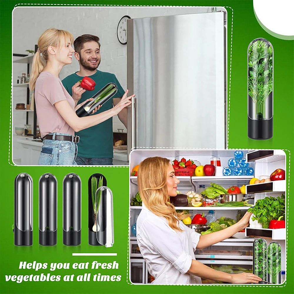 Herb Vegetable Fresh Saver Pod Containers for Refrigerator 2 Pack