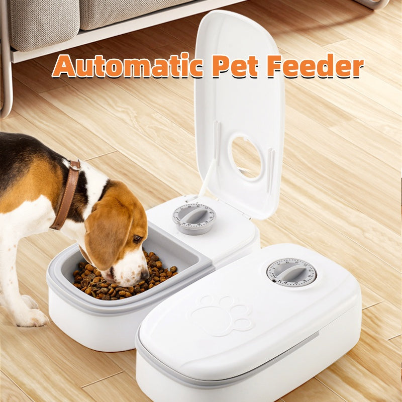 Automatic Timer Stainless Steel Smart Pet Feeder Food Dispenser for Cats Dogs Bowl Supplies