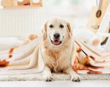 Double Sided Tortilla Print Round Fleece Flannel Linen Blanket Plush Soft Throw for Pets Dogs Cats Warm Winter Spread