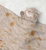 Double Sided Tortilla Print Round Fleece Flannel Linen Blanket Plush Soft Throw for Pets Dogs Cats Warm Winter Spread