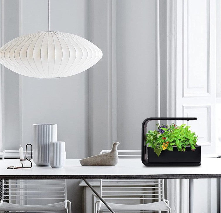 Hydroponics Quiet Smart Water Growing System Indoor 3 Pod Herb Flower Vegetable Garden Kit with LED Light and Automatic Watering for Home Kitchen