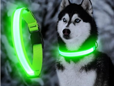 Safety LED Colorful Waterproof Anti Pull Pet Dog Cat Collar Leash for Night Walks