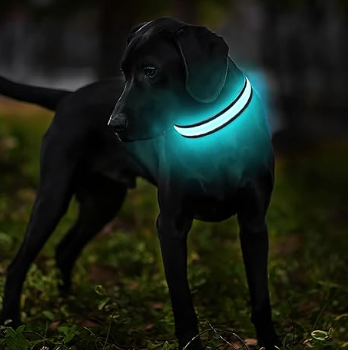 Safety LED Colorful Waterproof Anti Pull Pet Dog Cat Collar Leash for Night Walks