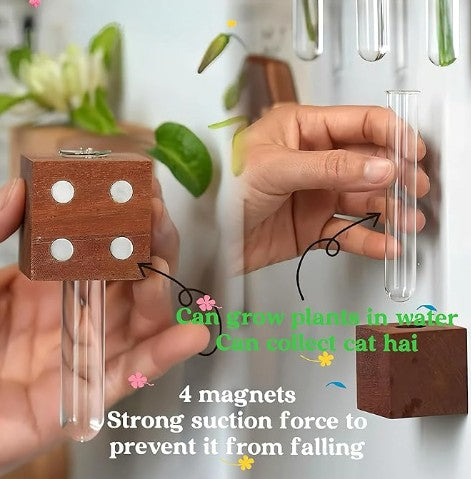 Fridge Strong 3D Refrigerator Magnets Potted Artificial Succulent Cactus Flower Vase Test Tube Rose Fern Plants Emoji Food Magnets for Kitchen Home Room Mother Day GiftDecor