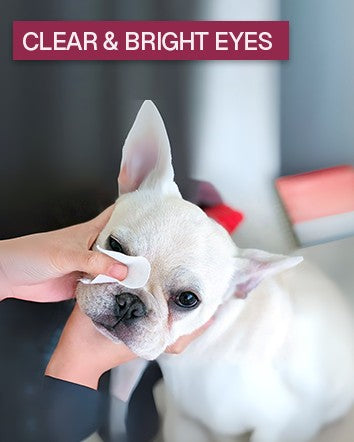 3-in-1 Pet Wipes for Dogs & Cats – Dog Ear Wipes, Dog Eye Wipes & Dog Wipes, Cat Ear Wipes, Cat Eye Wipes & Cat Wipes, Hypoallergenic Pet Grooming Wipes, Best Puppy Wipes 3 Pack