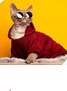Pet Cat Doll Dog Costume, Cosplay Halloween Christmas Funny Clothes Party Costume for Small Medium and Large Dogs and Cats