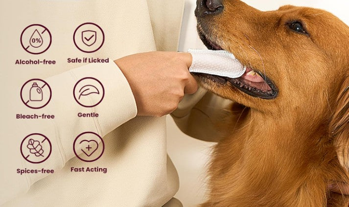 3-in-1 Pet Wipes for Dogs & Cats – Dog Ear Wipes, Dog Eye Wipes & Dog Wipes, Cat Ear Wipes, Cat Eye Wipes & Cat Wipes, Hypoallergenic Pet Grooming Wipes, Best Puppy Wipes 3 Pack