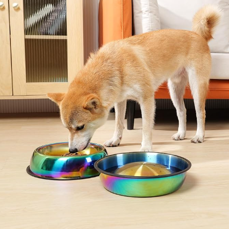 Rainbow Color Stainless Steel Cat Big Bowl Water & Feeder Bowls 2 in 1 Slow Feed Bowl for Small Medium Big Cats Dogs Pets with Non-Skid Rubber Base
