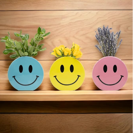 Smiling Happy Face Hydroponic Design Ceramic Vases